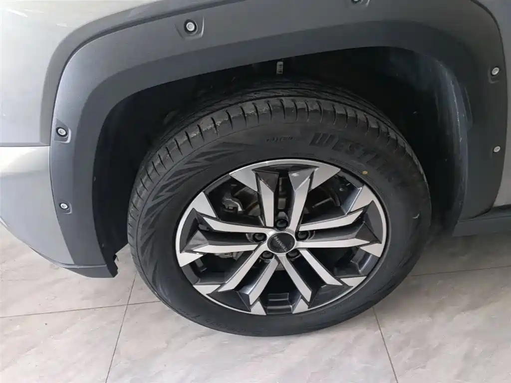 Haval Da Gou 2nd Gen 2023 2.0T AWD Wild Adventure Plus фото 23