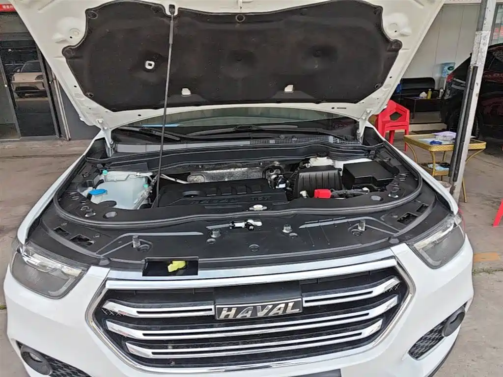 Haval H6 2018 Blue Label Sport 1.5T Manual 2WD Elite фото 20