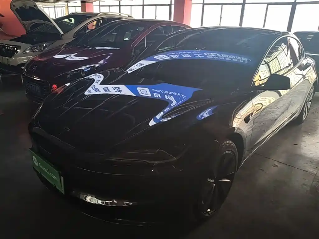 Tesla Model 3 2025 Model Rear-Wheel Drive Edition