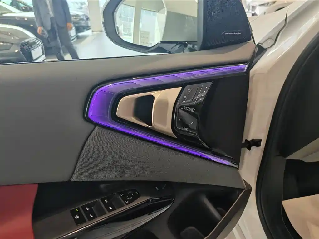 BMW X3 2026 xDrive30L Leading Trim M Sport Shadowline Package фото 22