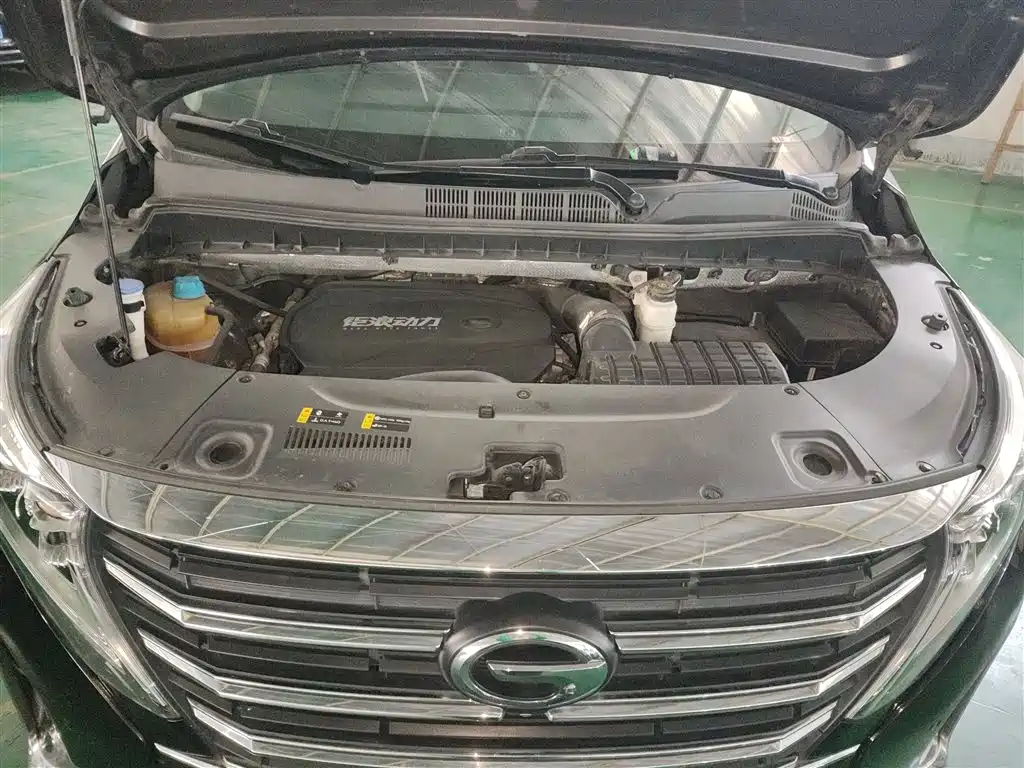 GAC Trumpchi Trumpchi M8 2021 Leading Show Series 390T Ultimate Edition фото 16