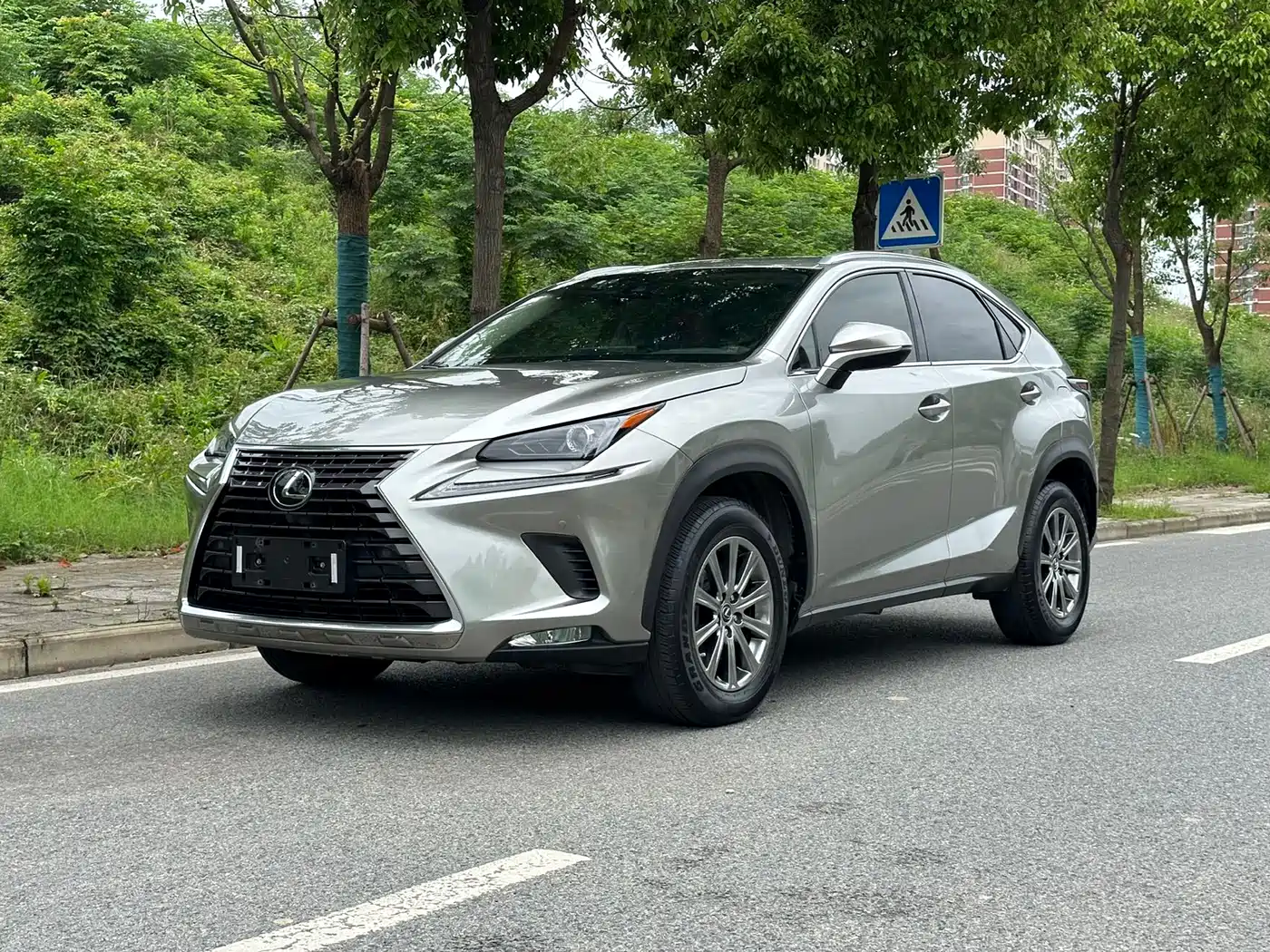 Lexus NX 2020 200 AWD F Sport China VI