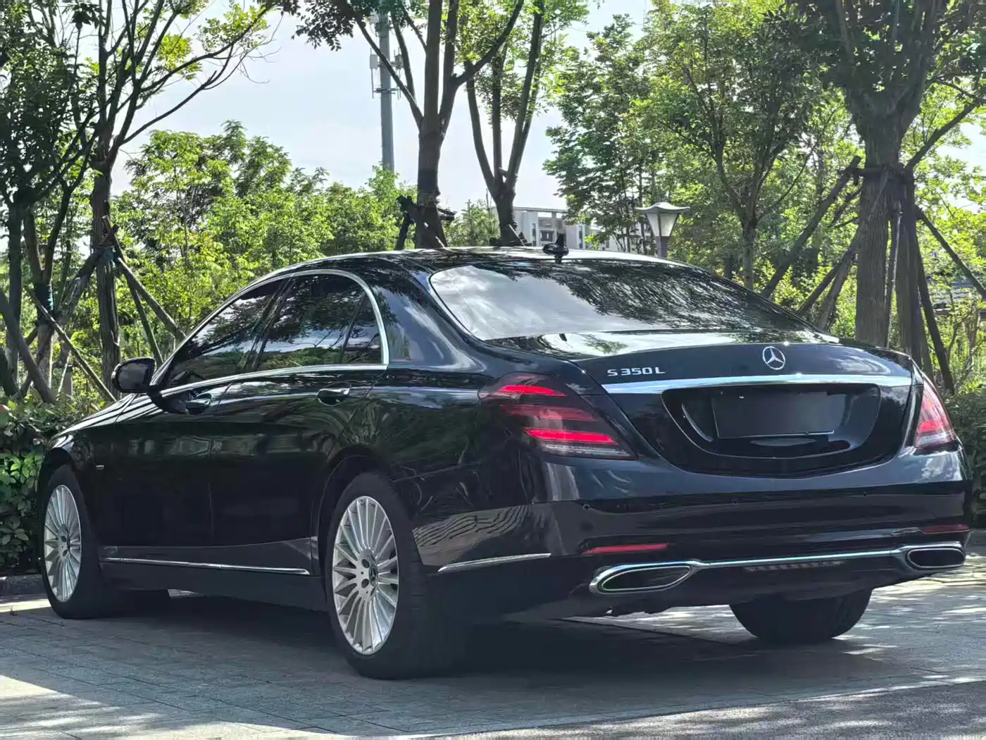 Mercedes-Benz S-Class 2020 S 350 L Business Edition Collector's Version фото 3