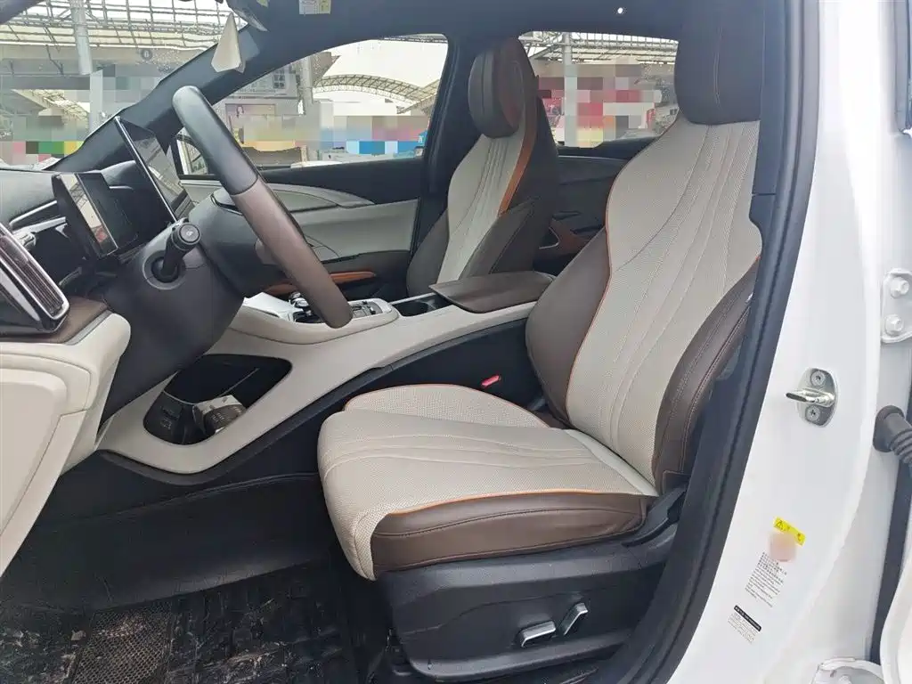 BYD Song Pro New Energy 2023 Champion Edition DM-i 110KM Excellence фото 11