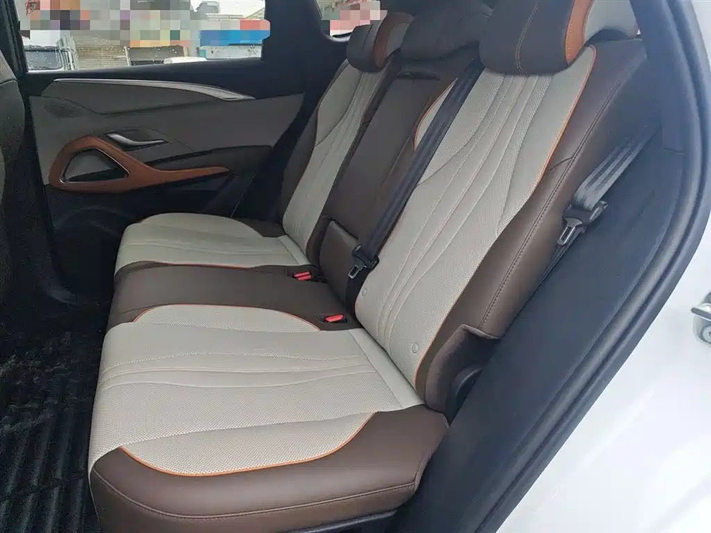 BYD Song Pro New Energy 2023 Champion Edition DM-i 110KM Excellence фото 13