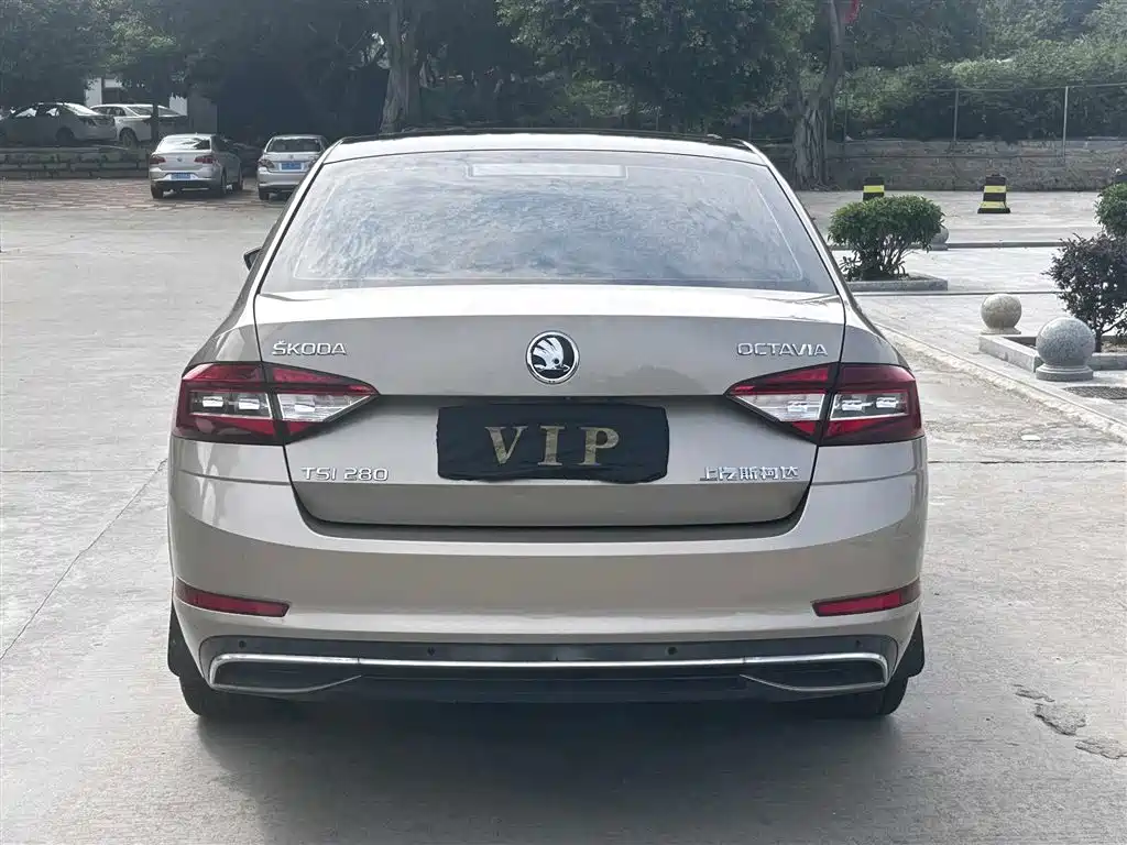 Škoda Octavia 2018 TSI280 DSG Flagship Edition фото 5