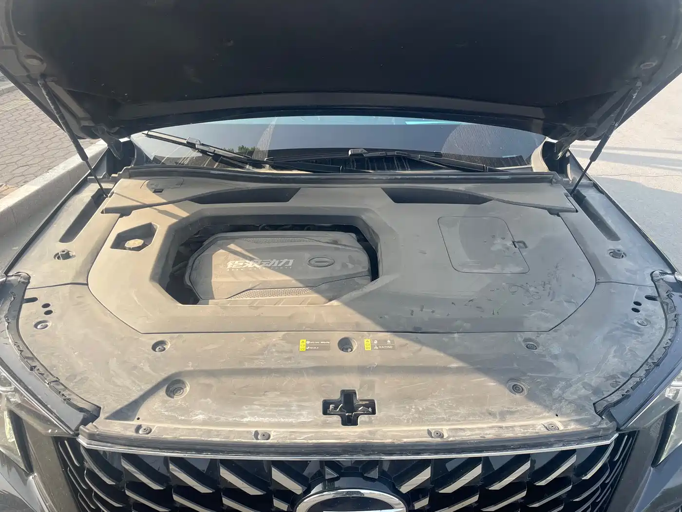 GAC Trumpchi Trumpchi GS8 2022 Pilot Series 2.0TGDI 2WD Premium Edition (6-Seater) фото 14