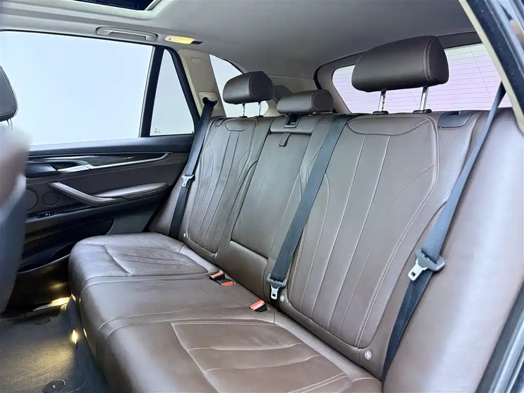 BMW X5 New Energy(Imported) 2016 xDrive40e фото 14