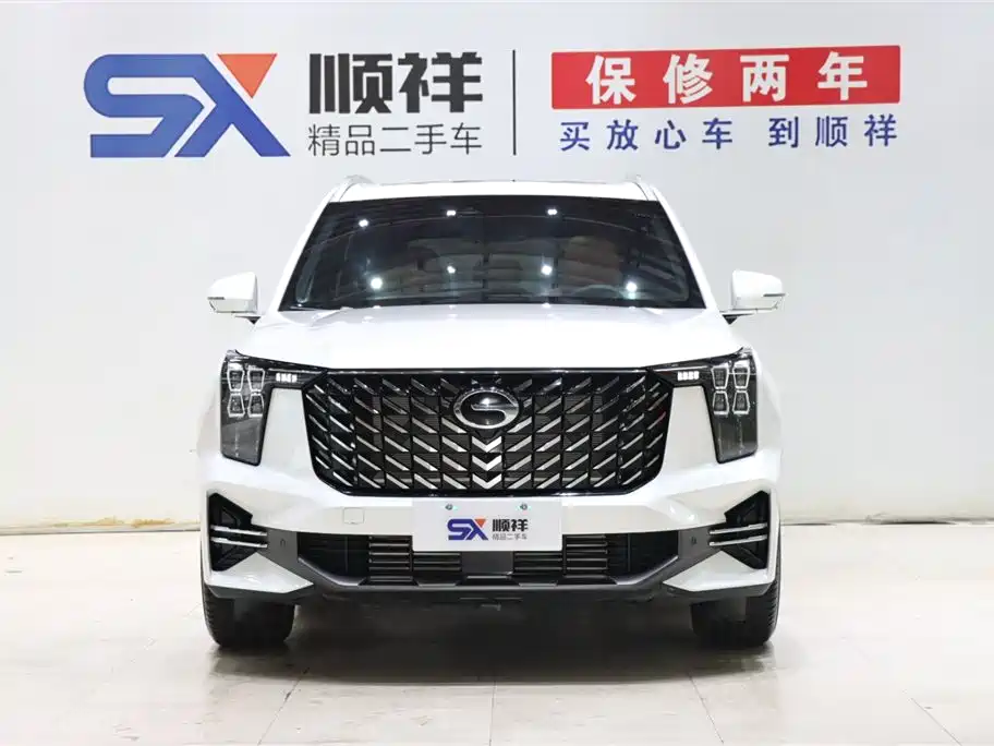 GAC Trumpchi Trumpchi GS8 2025 Pilot Series 2.0TGDI 2WD Luxury Edition 5-seater фото 2