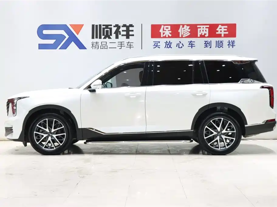 GAC Trumpchi Trumpchi GS8 2025 Pilot Series 2.0TGDI 2WD Luxury Edition 5-seater фото 6