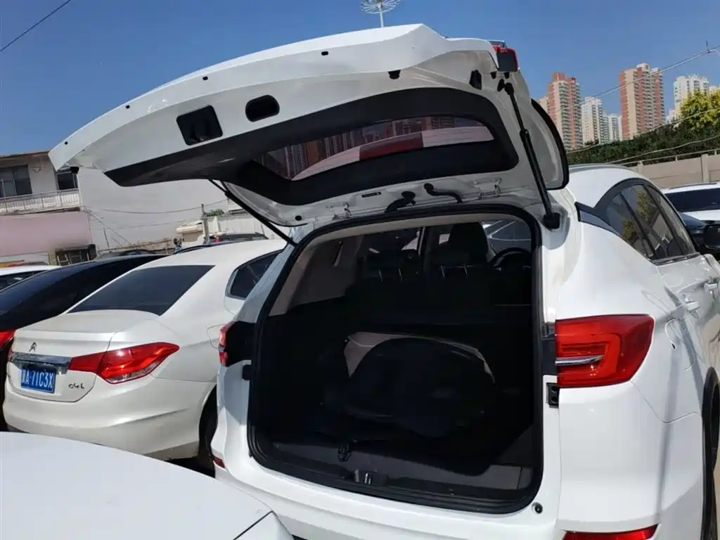 BYD Song New Energy 2019 Song DM 1.5TID Smart Connection Sharp фото 19