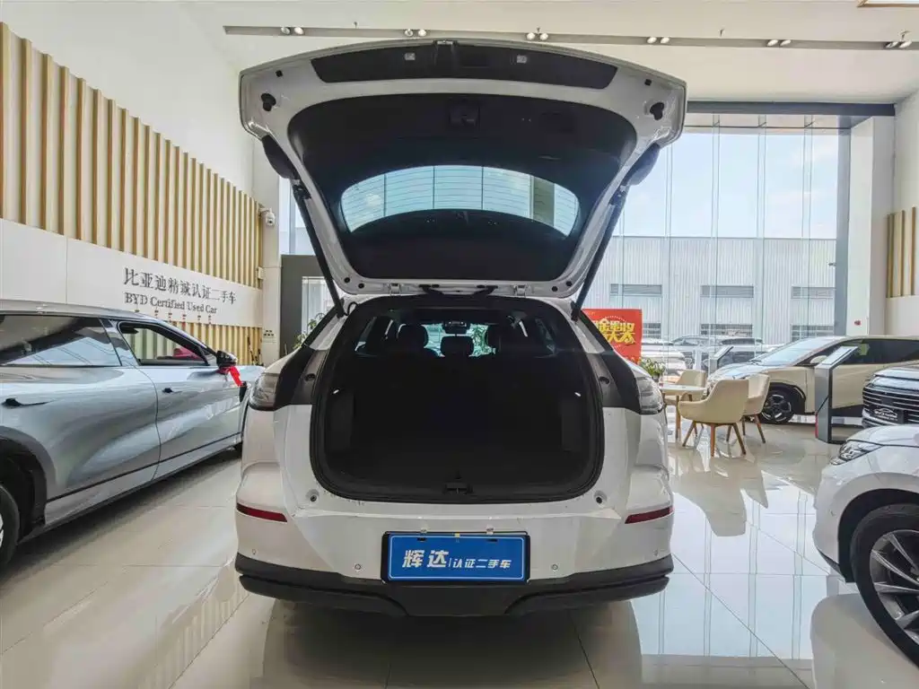BYD Sealion 06 New Energy 2025 DM-i 170 Pilot Pro Edition фото 5