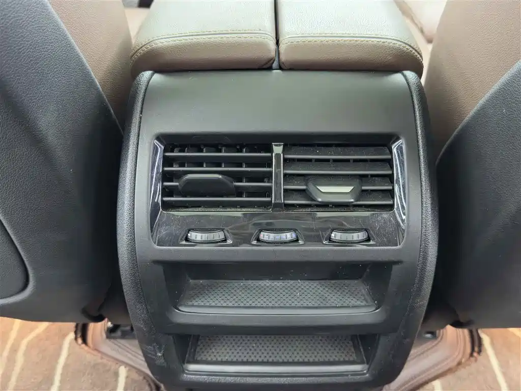 BMW X5 NEW ENERGY (IMPORTED)