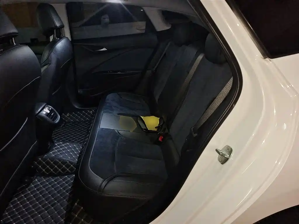 Buick Velite 6 2020 Plug-in Hybrid Connected Smart Edition фото 18