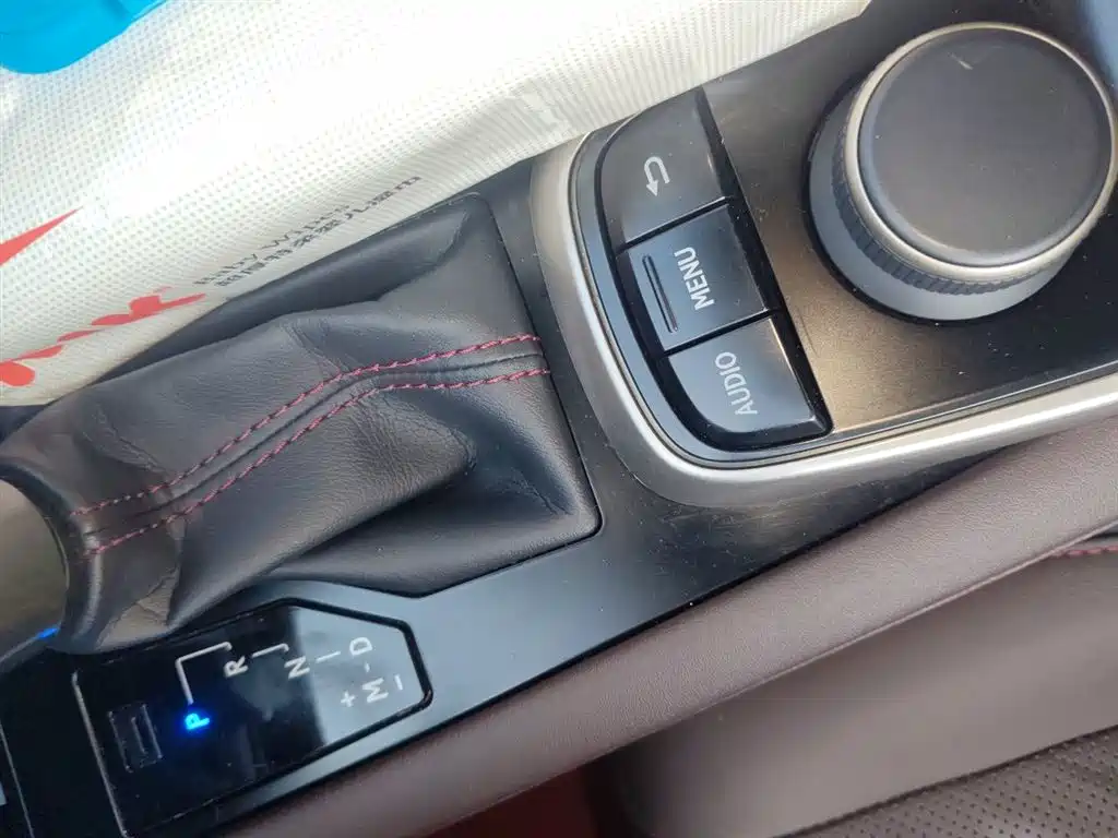 Lexus RX 2016 300 4WD Elegance Edition China VI фото 12