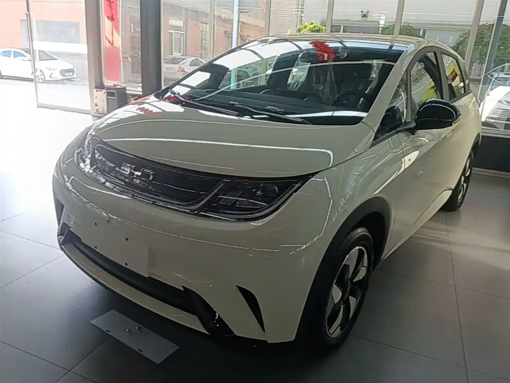 BYD Dolphin 2025 420km Freedom Edition