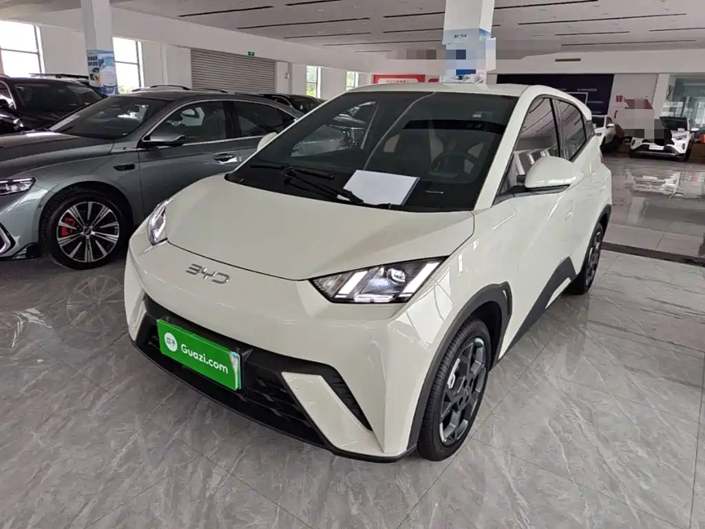 BYD Seagull 2024