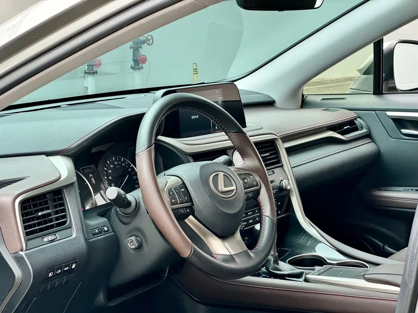 Lexus RX 2020 450h 4WD Elegance Edition China VI фото 6