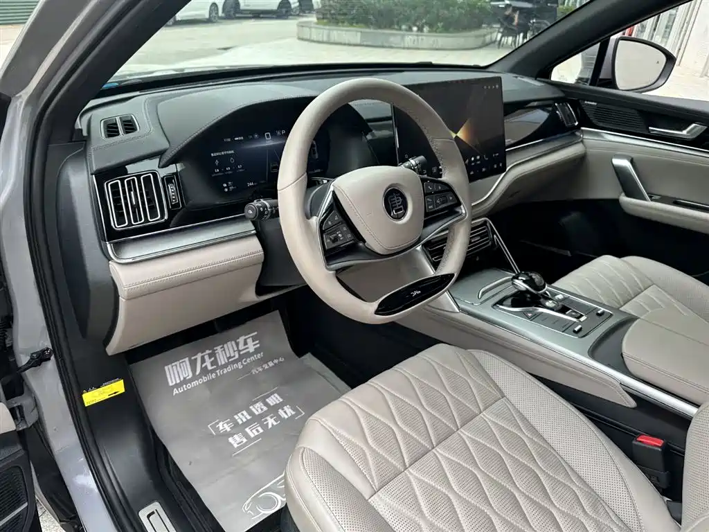 BYD Tang New Energy 2025 DM-i 115KM Prestige Type фото 13