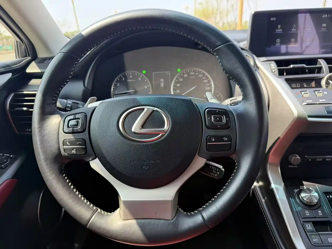 Lexus NX 2018 Model 200 FWD Fengxing Edition China V фото 16