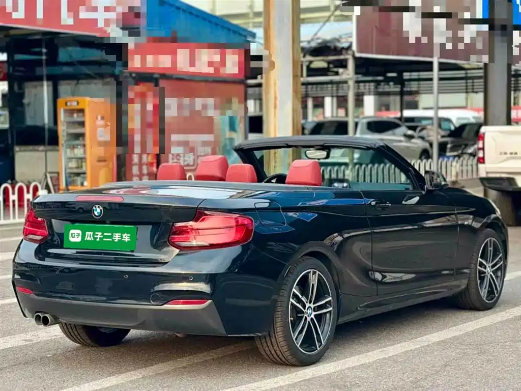 BMW 2 Series (Import) 2018 225i Convertible Coupe Premium M Sport Package фото 7