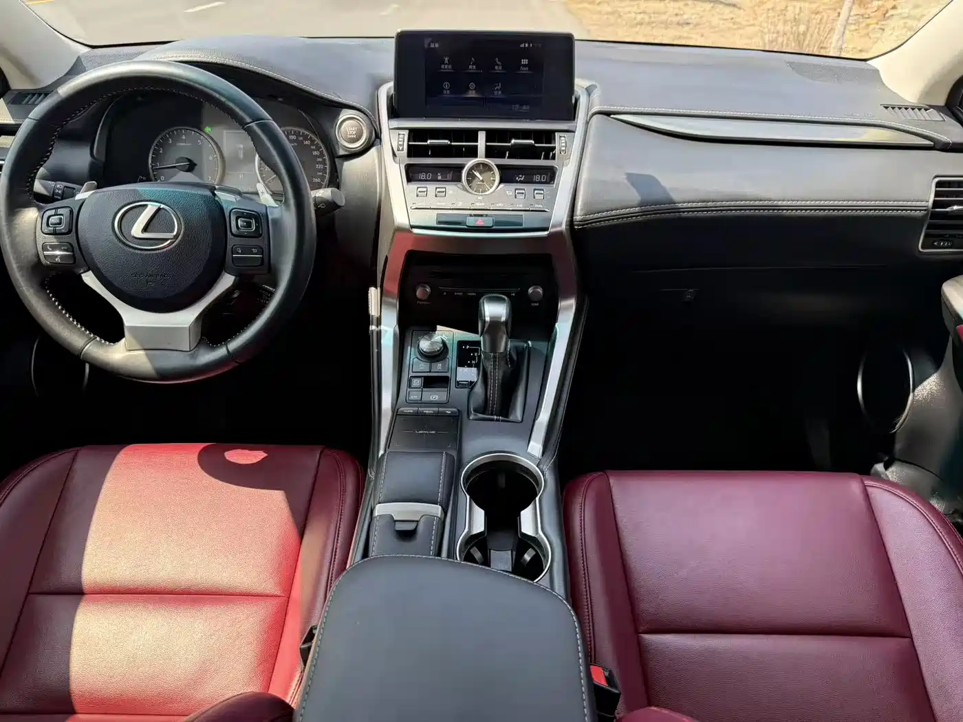 Lexus NX 2018 Model 200 FWD Fengxing Edition China V фото 18