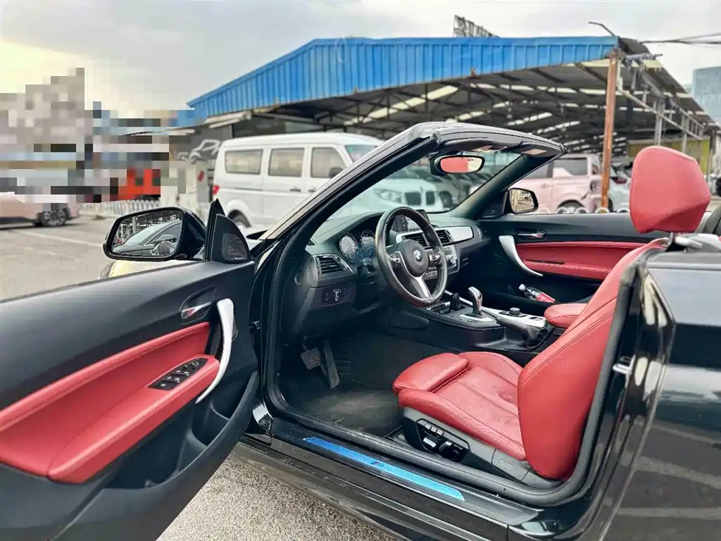 BMW 2 Series (Import) 2018 225i Convertible Coupe Premium M Sport Package фото 16
