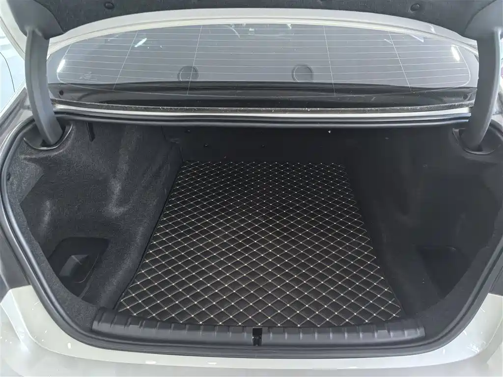 BMW 5 Series 2019 525Li Luxury Package фото 4