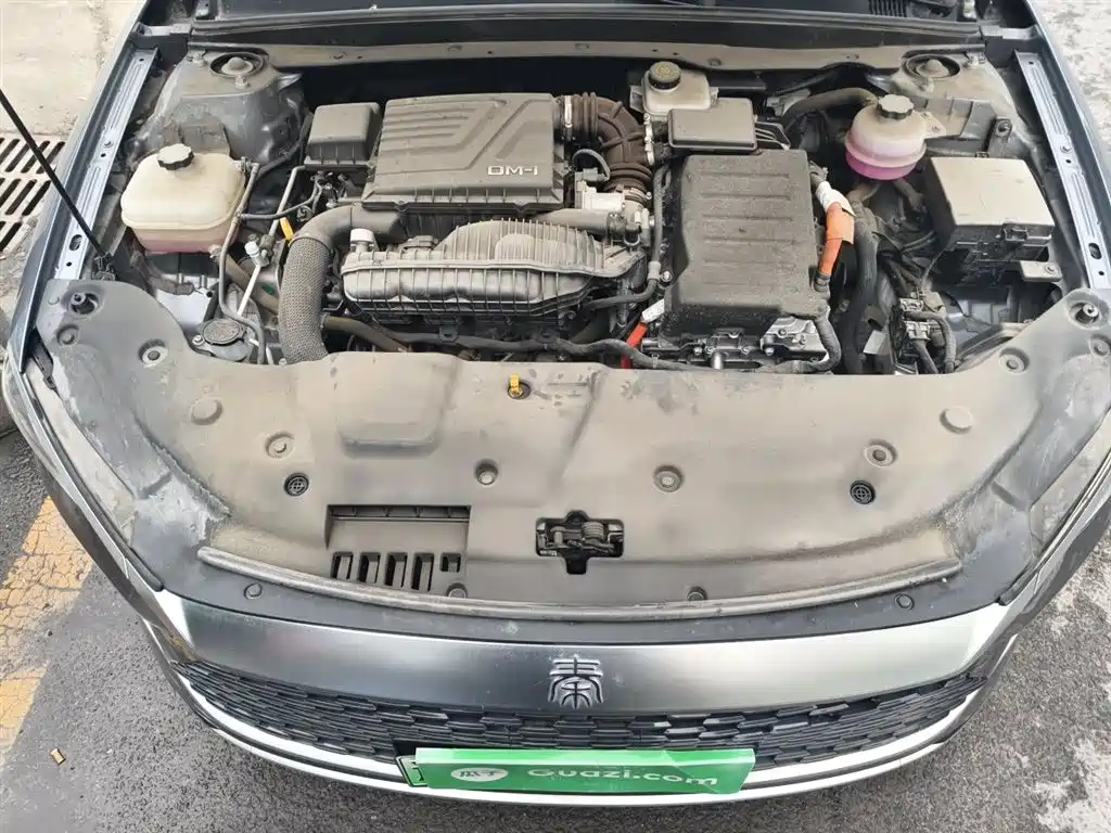 BYD Qin PLUS 2023 Champion Edition DM-i 55KM Leading фото 16
