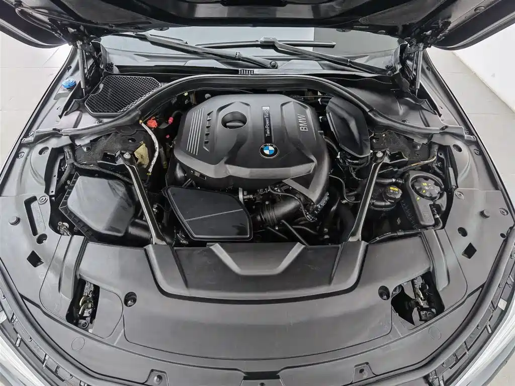 BMW 7 Series 2017 730Li Luxury Edition фото 6