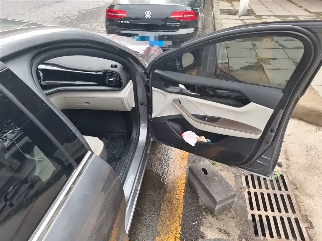 BYD Qin PLUS 2023 Champion Edition DM-i 55KM Leading фото 21