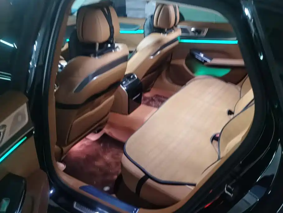 Hongqi H9 2024 2.0T Qi Enjoy Private Fashion Edition фото 11