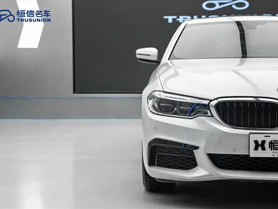 BMW 5 Series 2020 530Li Leading M Sport Package фото 8