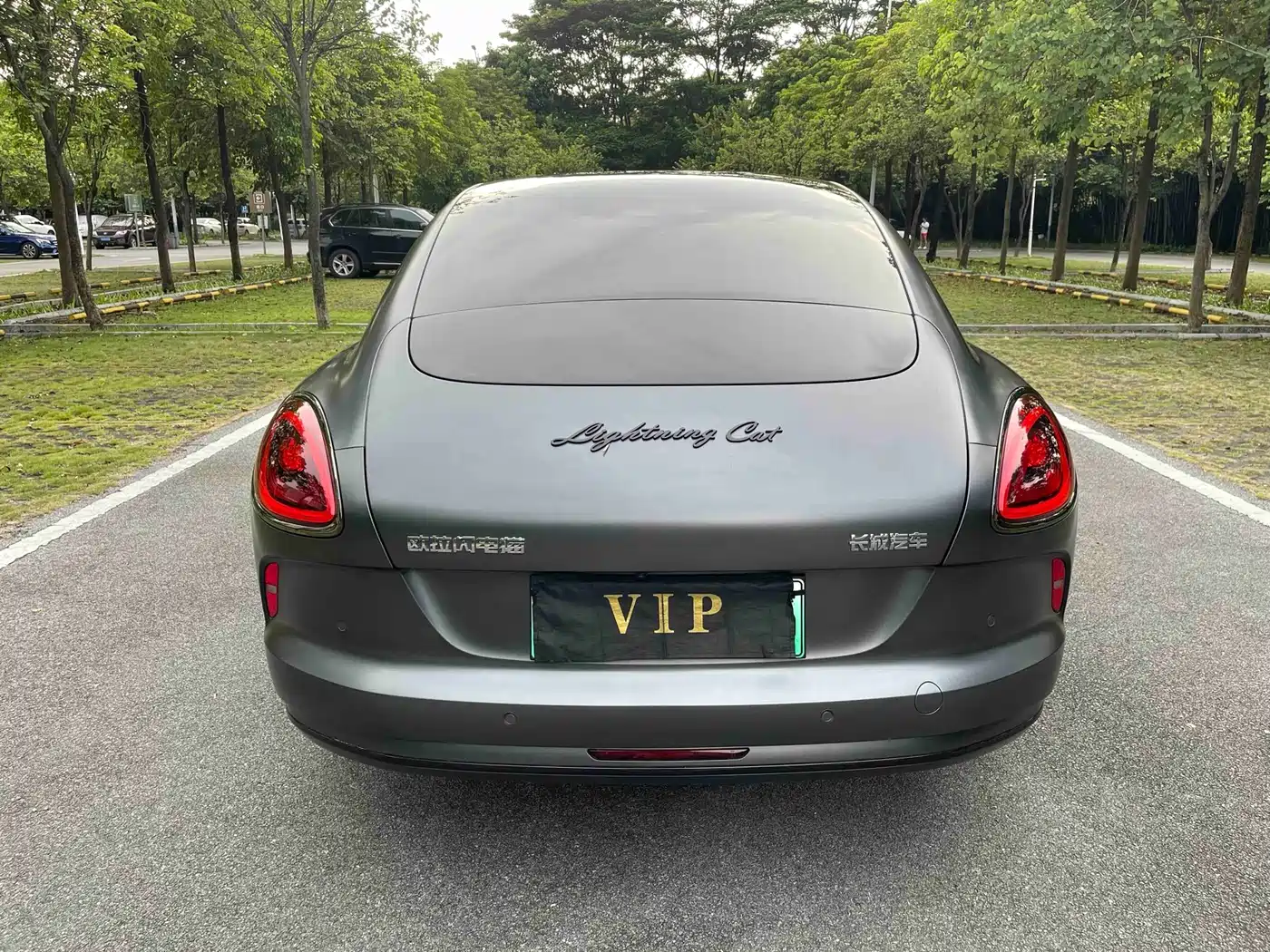 Ora Lightning Cat 2026 2024 Dark Night Edition 555km Premium Version