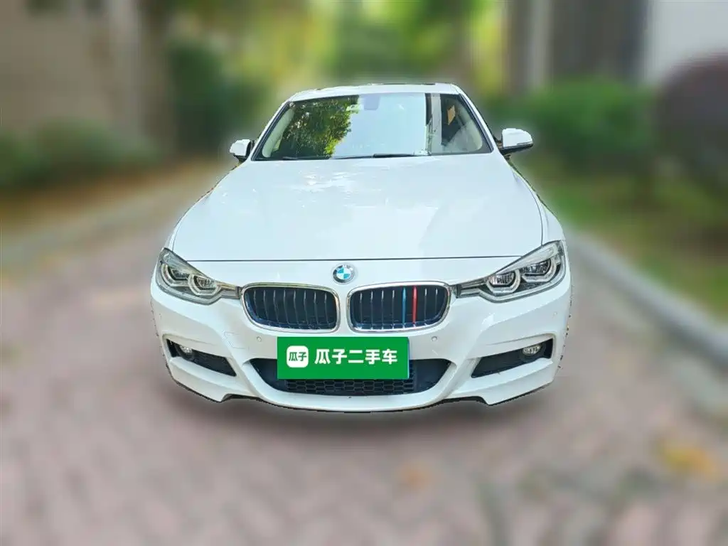 BMW 3 Series 2019 320Li M Sport Package фото 24