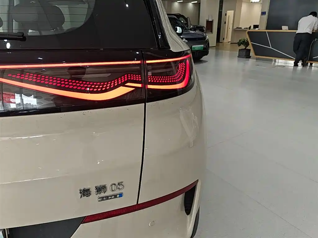 BYD Hai Shi 05 EV 2025 520KM Smart Navigation Edition фото 8