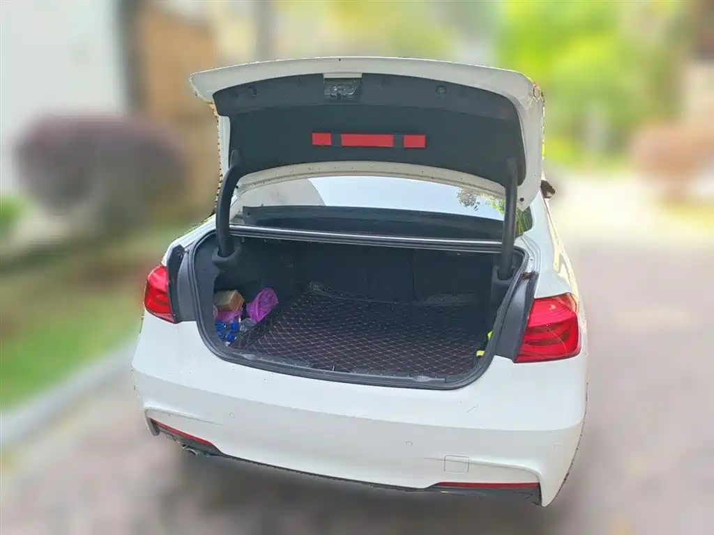 BMW 3 Series 2019 320Li M Sport Package фото 10