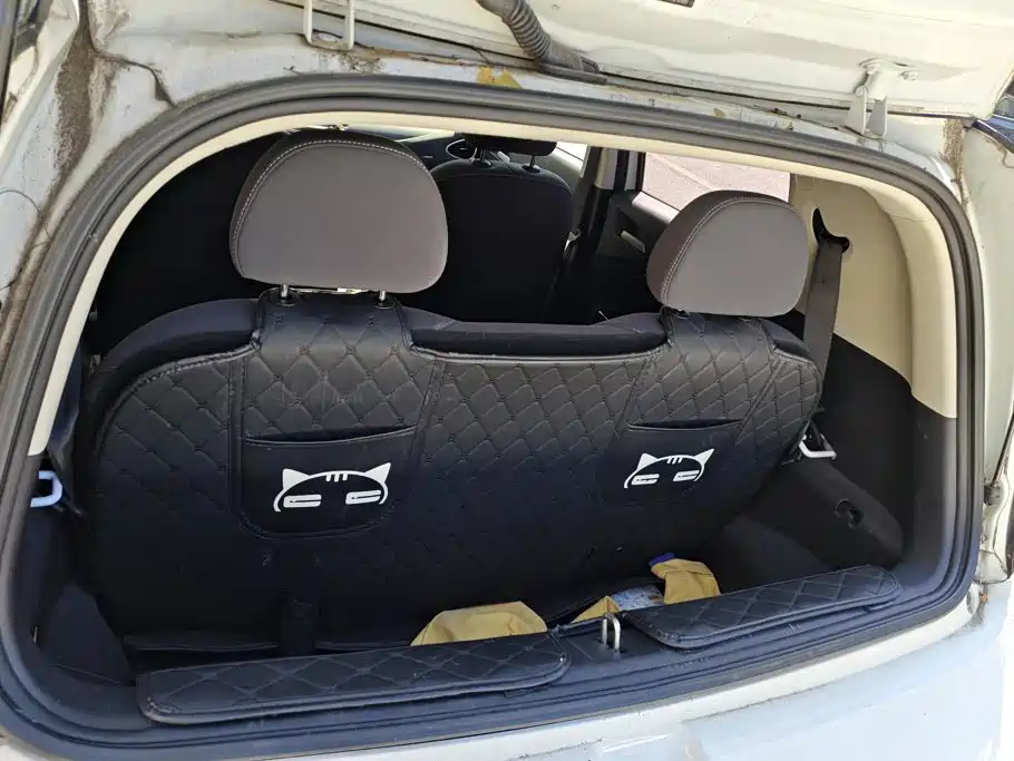 Ora White Cat 2021 2022 Upgraded 305km Luxury (NMC)