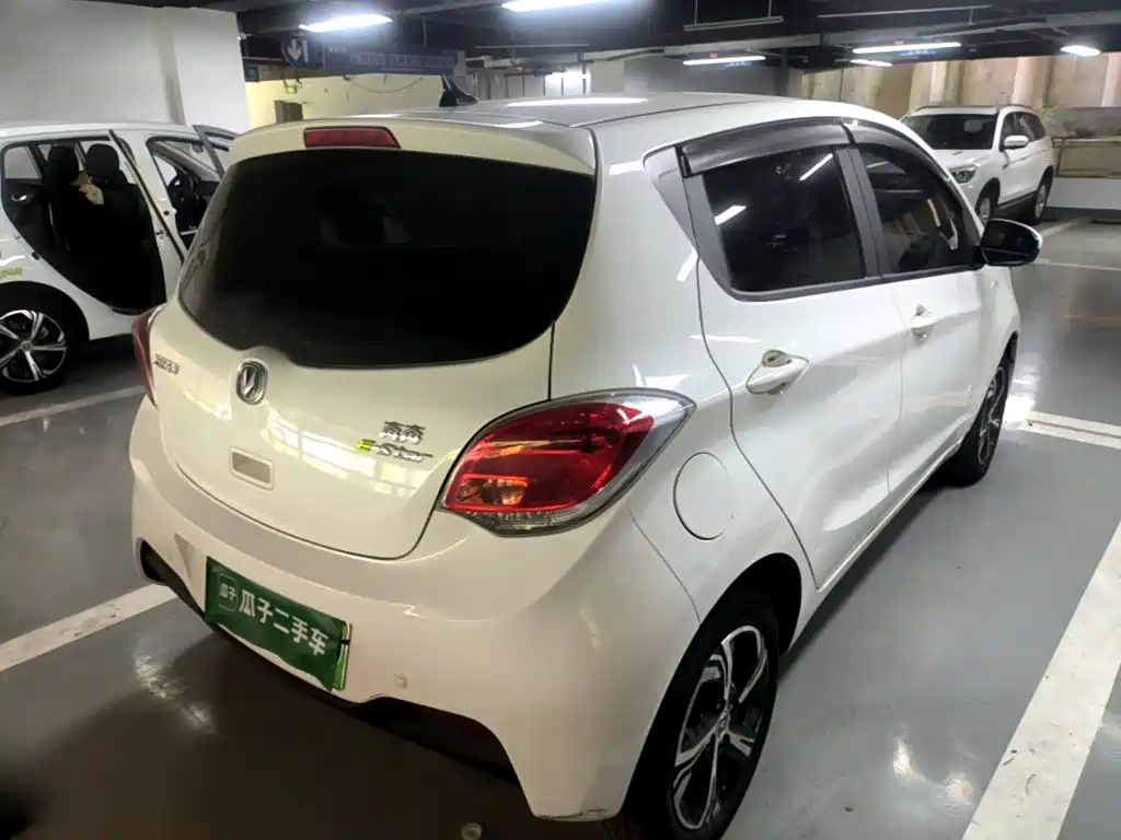 Changan Benben E-Star 2021 2020 Heartbeat Edition (NMC Battery)