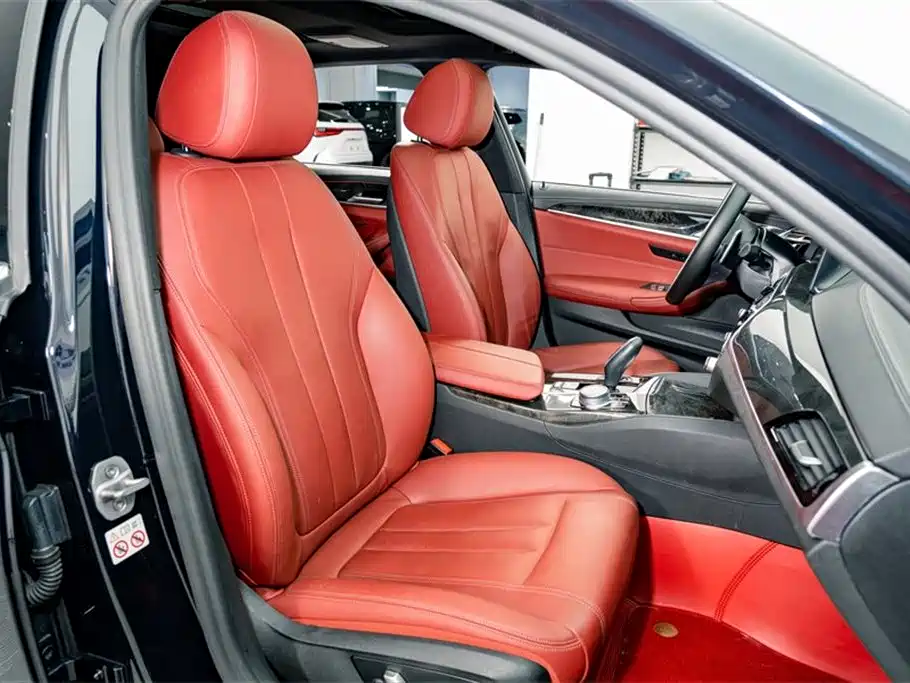 BMW 5 Series 2020 530Li Leading M Sport Package фото 19