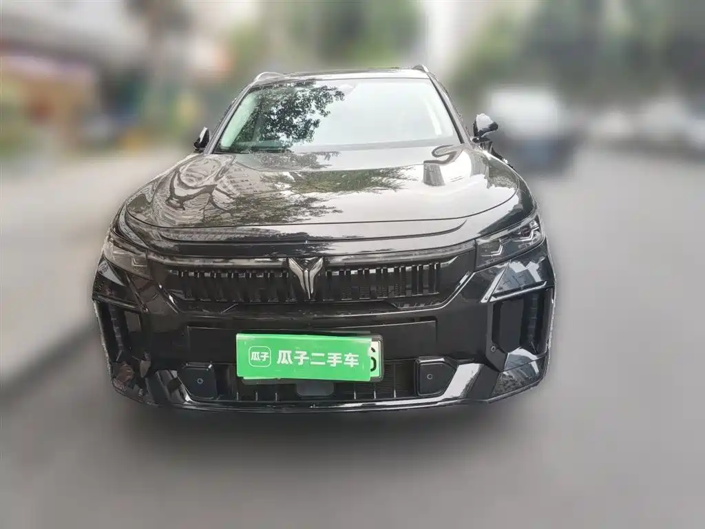 Voyah Auto VOYAH FREE 2024 Ultra Long Range Intelligent Driving Edition фото 2