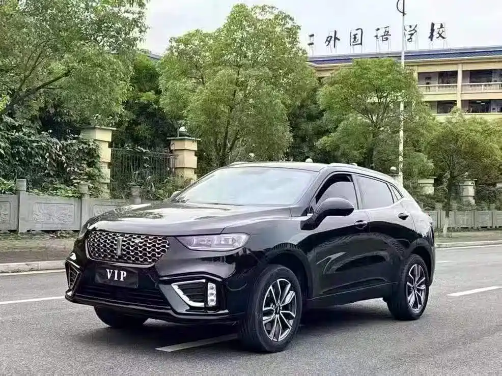 WEI PAI WEI BRAND VV5