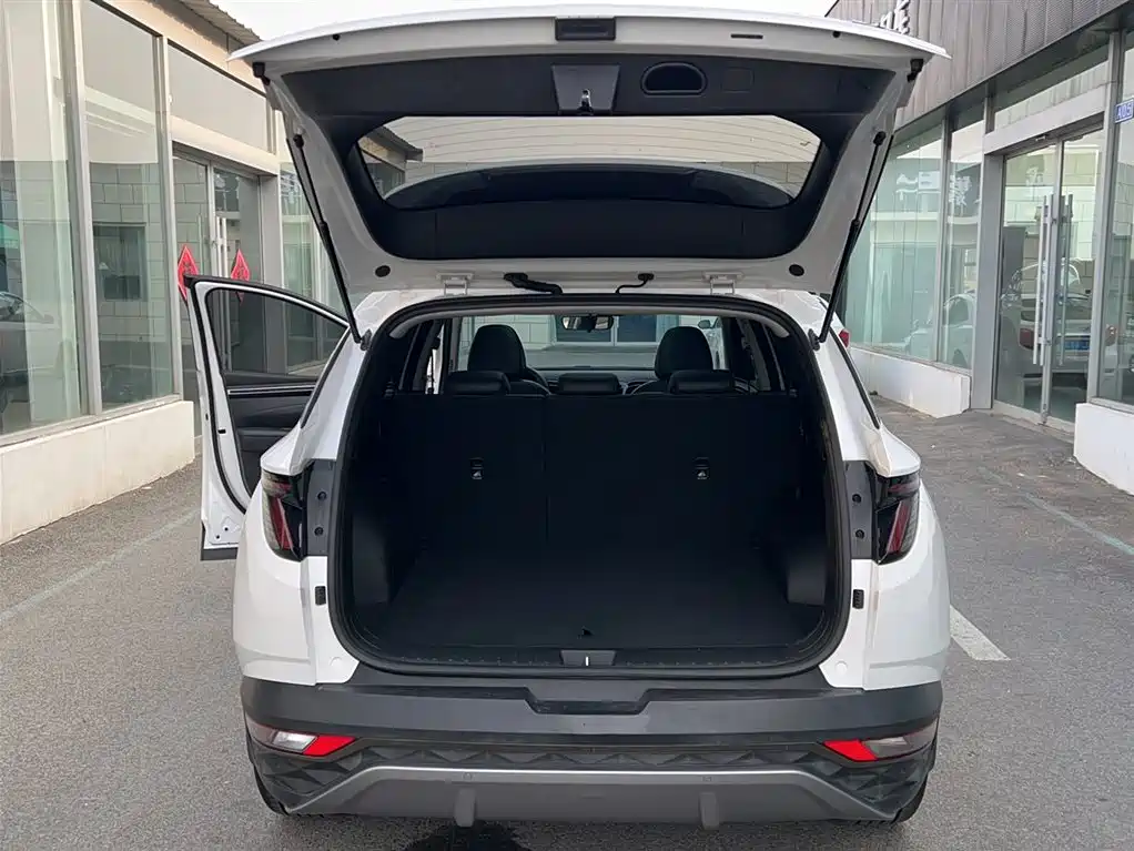 Hyundai Tucson 2023 Tucson L 1.5T Automatic 2WD DLX Luxury Edition фото 13