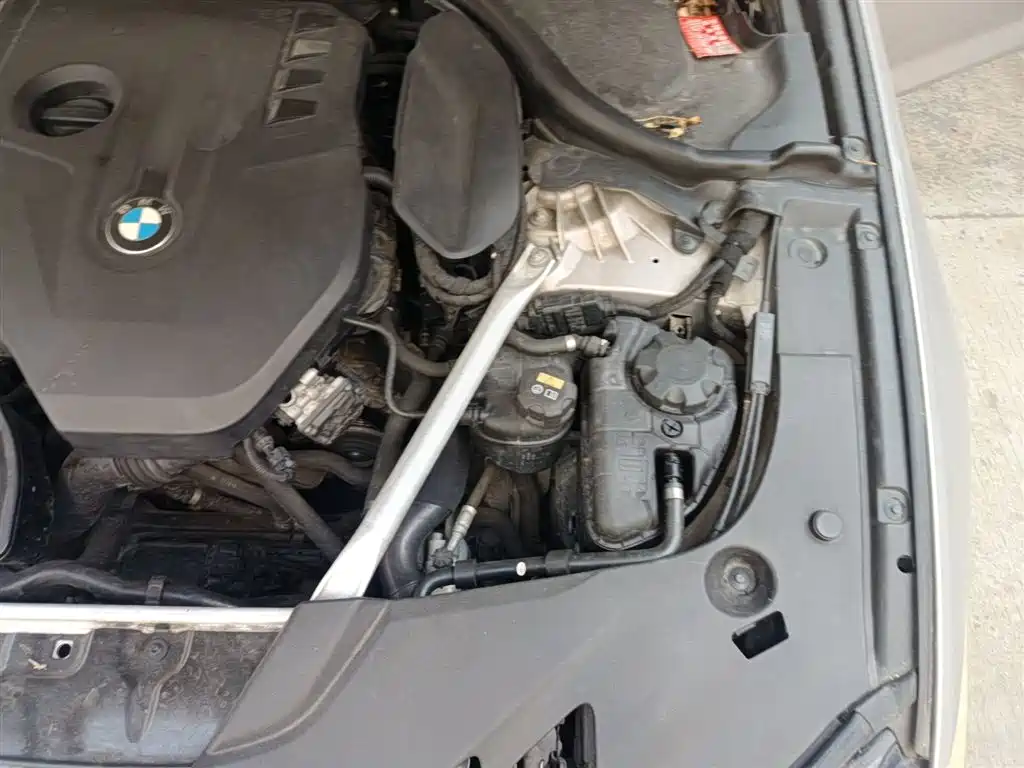 BMW 5 Series 2019 525Li Luxury Package фото 22