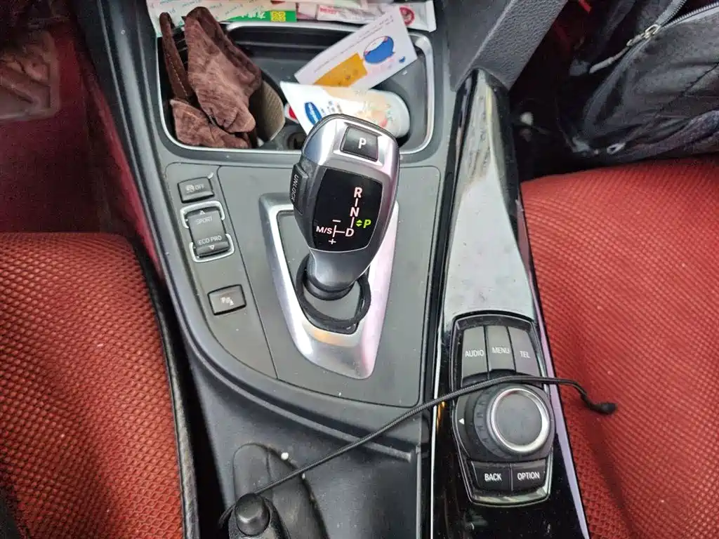BMW 3 Series 2016 320Li Progressive фото 10