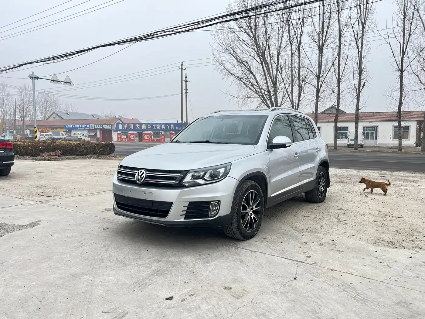 Volkswagen Tiguan 2013 1.8TSI Automatic 2WD Luxury Model