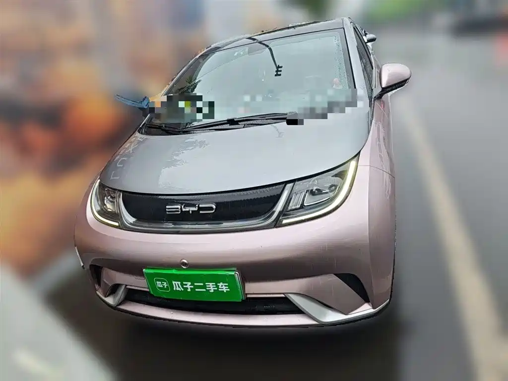 BYD Dolphin 2021 Model 405km Fashion Edition фото 2
