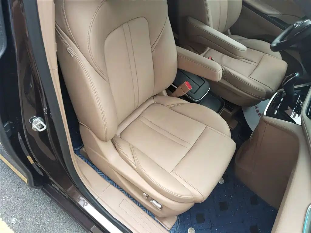 Buick GL8 2021 ES Landlord 653T Premium фото 4