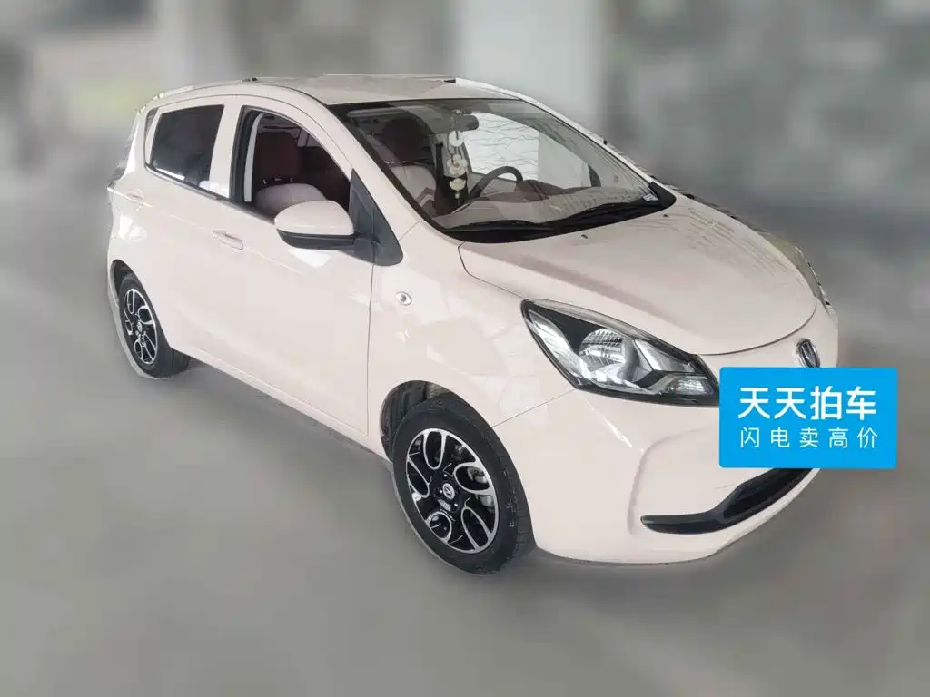 Changan Benben E-Star 2022 2021 National Edition Colorful Version LFP (31.18kWh)