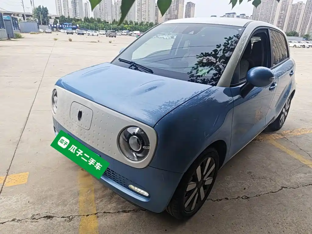 Ora Black Cat 2021 2021 351km Luxury Model